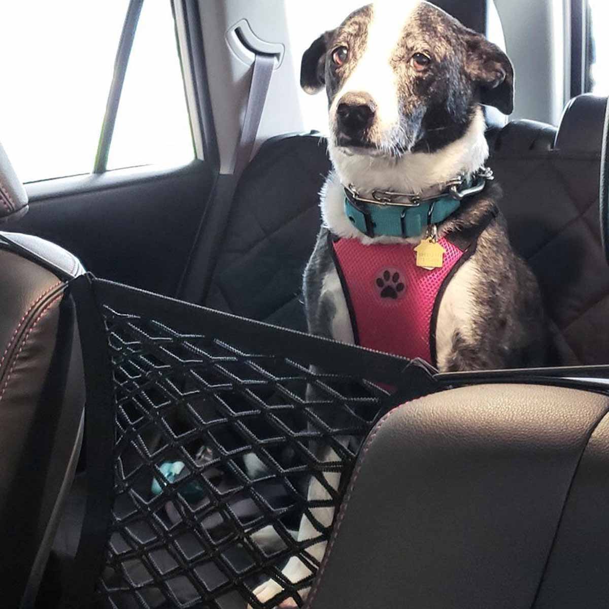 Pet Dog Rear Seat Car Fence Do - Partition Screen Divider 评论和价格